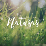 NATUSAS LABO - Huiles végétales - Huile d’amande douce de 100 ml – Image 3