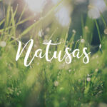 NATUSAS LABO - Huiles végétales - Huile de noisettes de 100 ml – Image 3