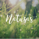 NATUSAS LABO - Huiles végétales - Huile de nigelle de 100 ml – Image 3