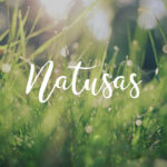 NATUSAS LABO - Huiles végétales - Huile de macérat d’ail de 100 ml – Image 3