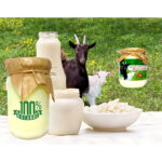 Beurre clarifié aux lait de chèvre  Tradition Makhtoum 100% naturel - 250g – Image 2