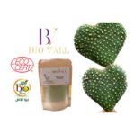 Biovall Poudre Nopal BIOLOGIUE 100% naturel paquet de 50 g – Image 2