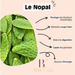 Biovall Poudre Nopal BIOLOGIUE 100% naturel paquet de 50 g – Image 3