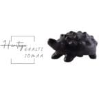 Collection Héritage Khalti Jomaa - Sculpture de tortue avec des boules en relief en terre cuite en noir en Poterie de sejnane – Image 2
