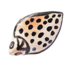 Collection Héritage Khalti Jomaa – Sculpture de canard en terre cuite bicolor en beige et noir en Poterie de sejnane