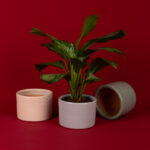 Ensemble de 3 Pot en céramique émaillé esprit vintage design Cylindrique T 1 – Image 2