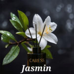 Diffuseur de parfum avec bâtonnets de Caresse Professional bouquets fleuris Sublime Jasmin! 100% fabrication artisanale Flacon de 120ml – Image 3