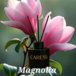 Diffuseur de parfum avec bâtonnets de Caresse Professional bouquets fleuris Sublime Magnolia! 100% fabrication artisanale Flacon de 120 ml – Image 3
