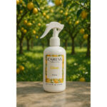 Parfum d’ambiance Caresse Professional le parfum Sublime Citron! 100% fabrication artisanale Flacon de 250 ml – Image 2