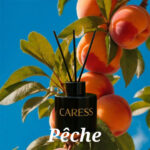 Rechange pour diffuseur Caresse Professional bouquets fleuris Sublime Pêche! 100% fabrication artisanale Flacon – Image 4