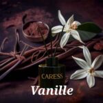Rechange pour diffuseur Caresse Professional bouquets fleuris Sublime Vanille! 100% fabrication artisanale Flacon – Image 4
