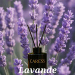 Rechange pour diffuseur Caresse Professional bouquets fleuris Sublime Lavande! 100% fabrication artisanale Flacon – Image 4