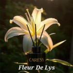 Rechange pour diffuseur Caresse Professional bouquets fleuris Sublime Fleur de lys! 100% fabrication artisanale Flacon – Image 4